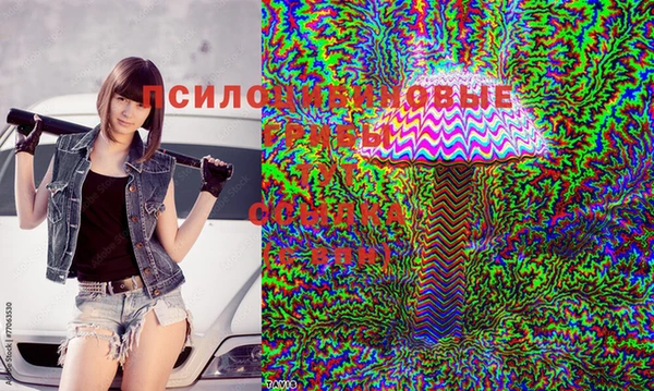 кокс Абаза