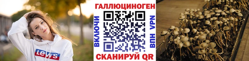 Галлюциногенные грибы ЛСД  Скопин 